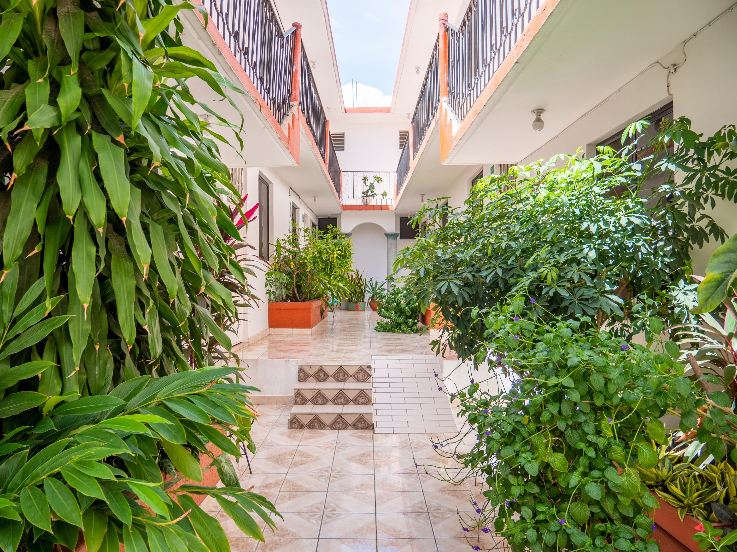 Oyo Hotel Arena Surf, Puerto Escondido Exteriér fotografie